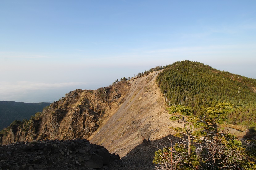 IMG_4375.jpg