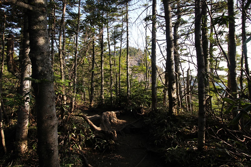 IMG_4400.jpg