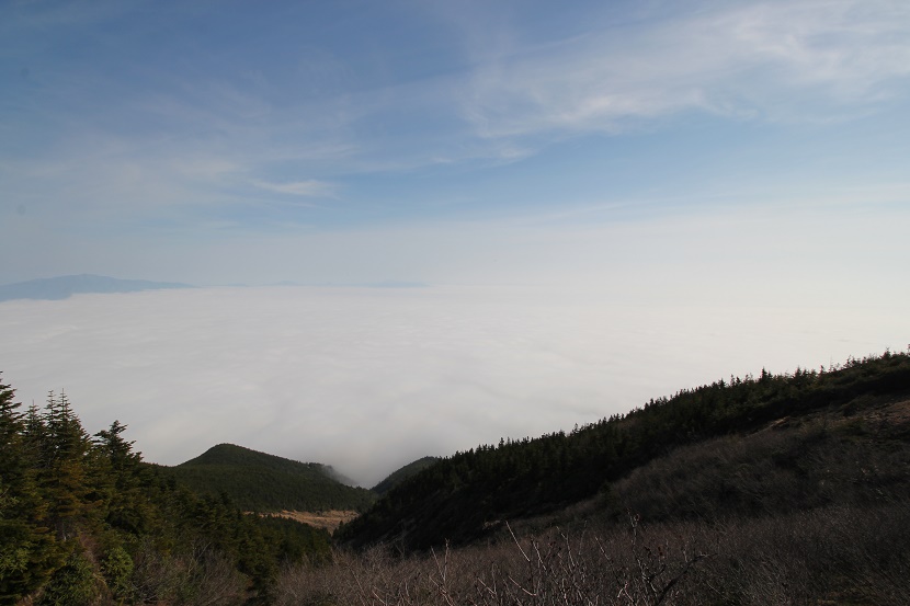 IMG_4556.jpg