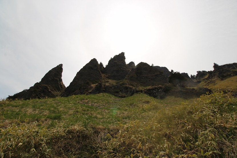 IMG_5160.jpg