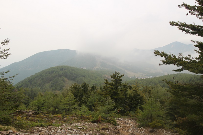 IMG_5225.jpg