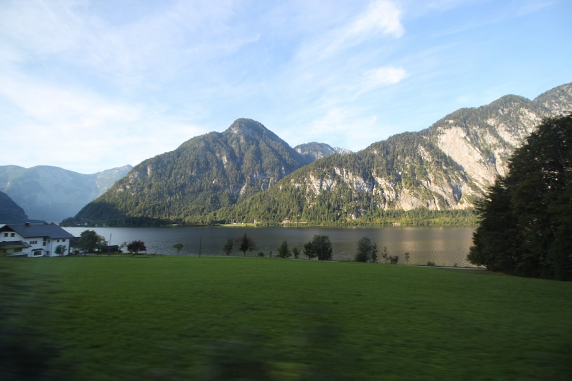 IMG_6593.jpg