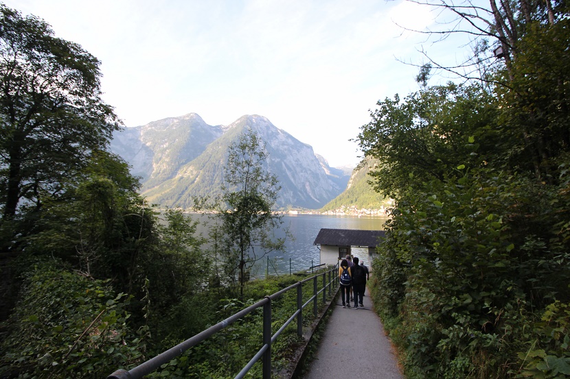IMG_6615.jpg