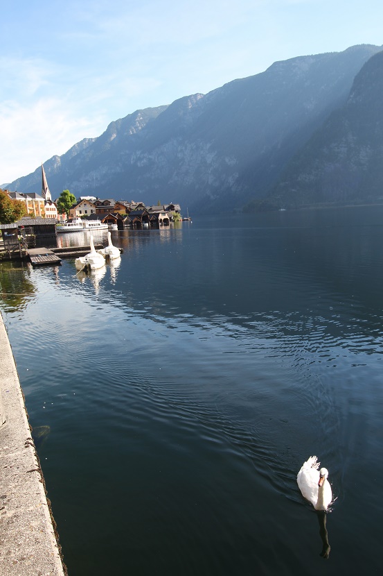 IMG_6707.jpg