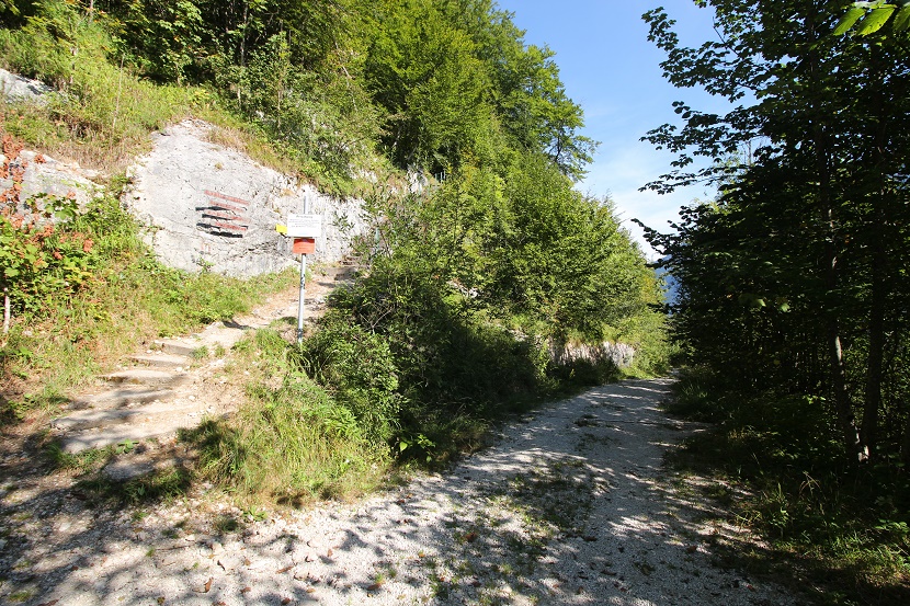 IMG_6802.jpg