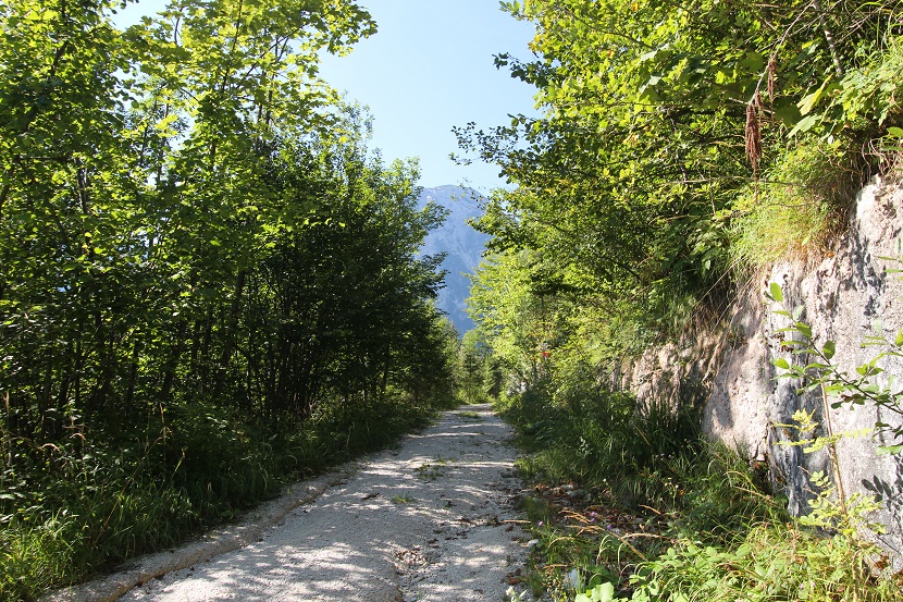 IMG_6806.jpg
