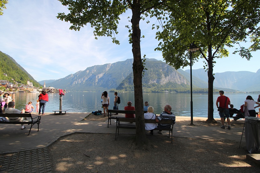 IMG_6884.jpg