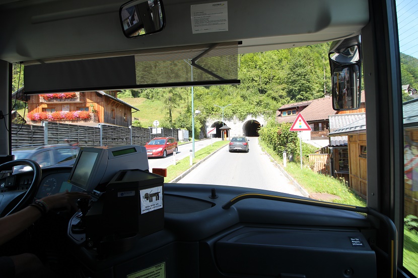 IMG_6895.jpg