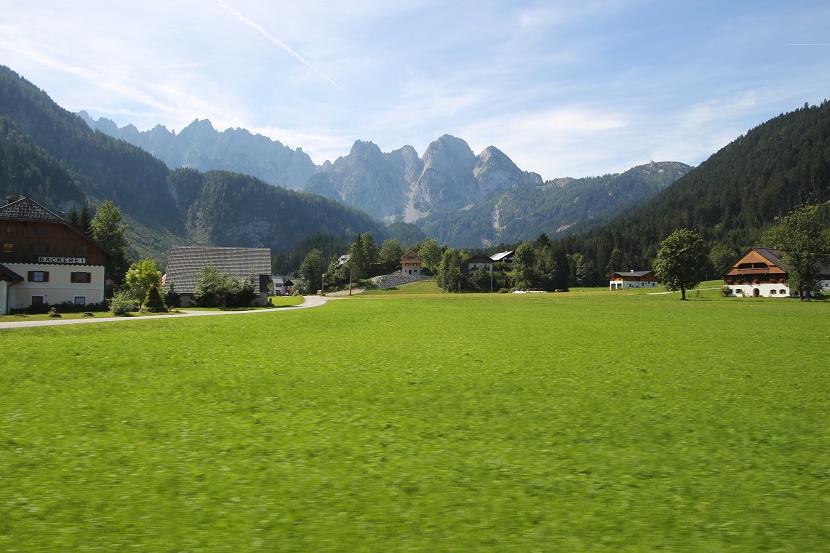 IMG_6928.jpg