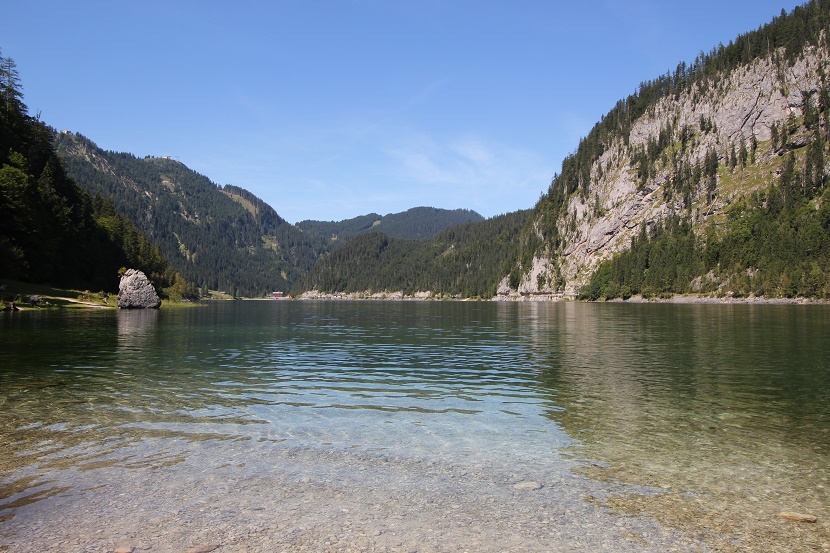 IMG_7049.jpg