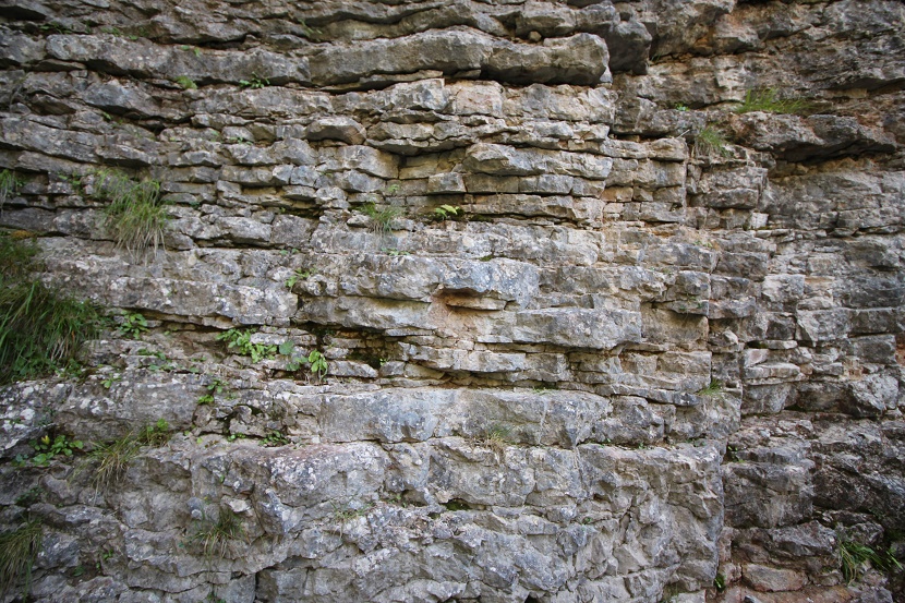 IMG_7065.jpg
