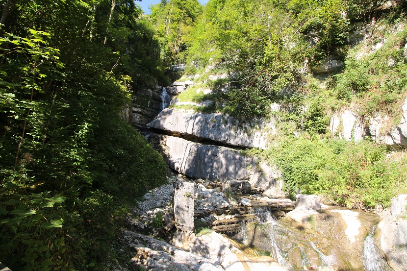 IMG_6830.jpg