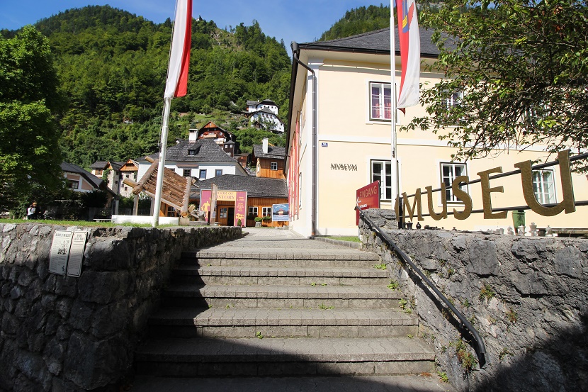 IMG_6872.jpg