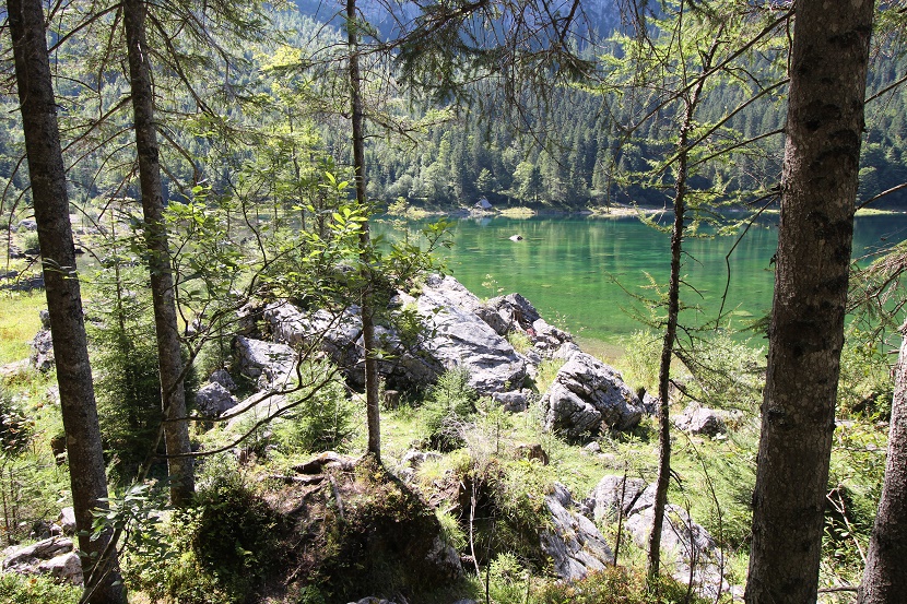 IMG_7009.jpg