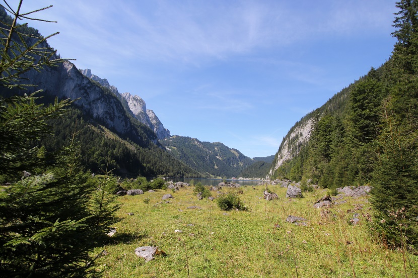 IMG_7013.jpg