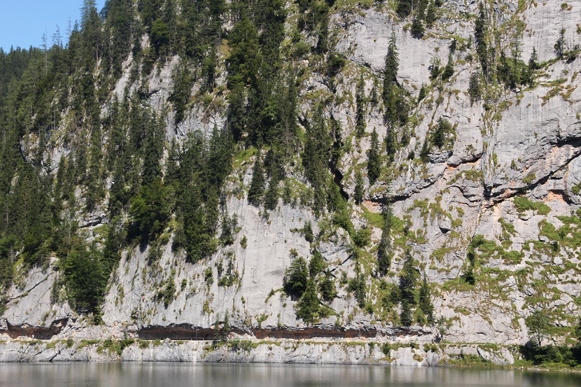 IMG_7080.jpg