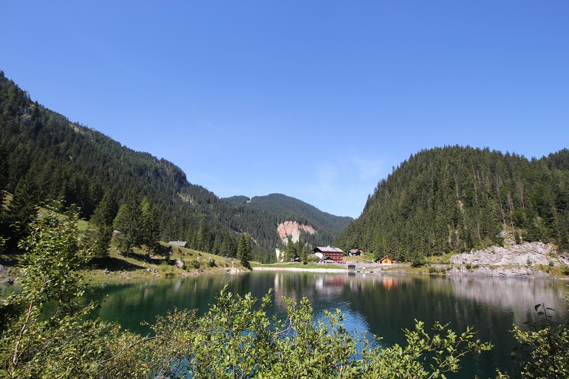 IMG_7095.jpg