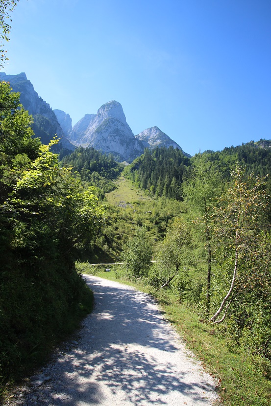 IMG_7096.jpg