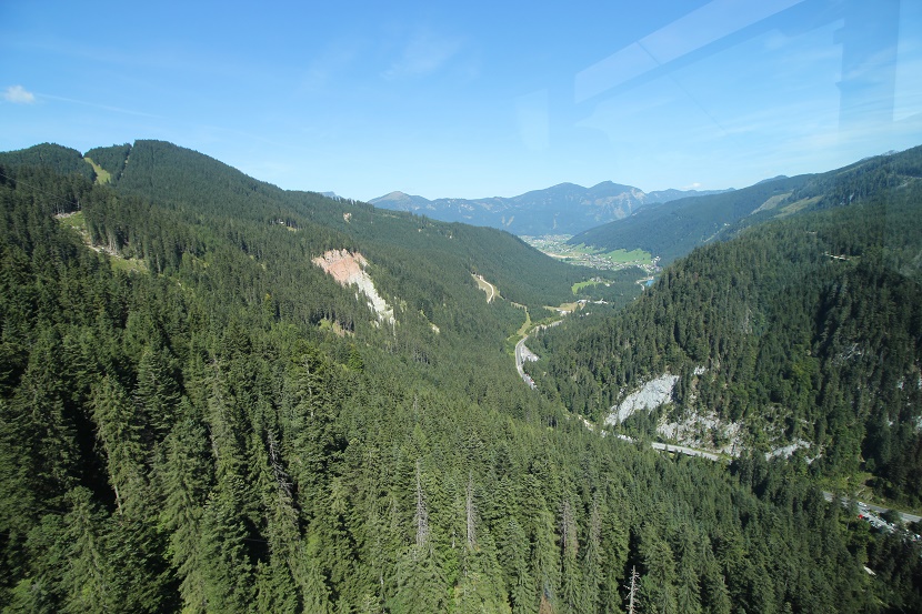 IMG_7115.jpg