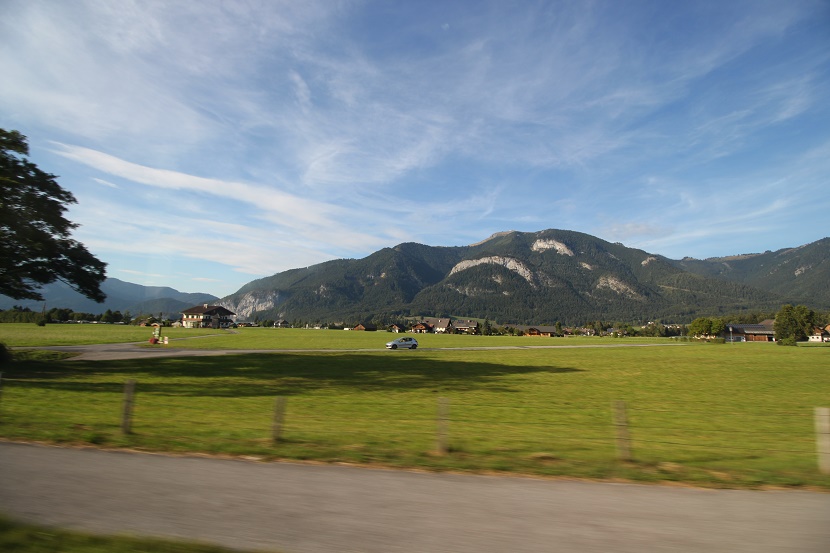 IMG_7254.jpg