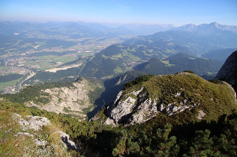 IMG_7406.jpg