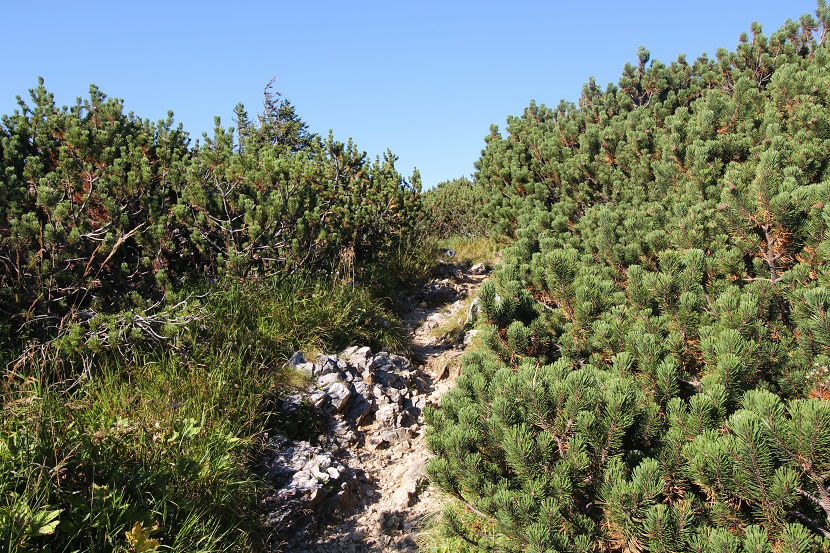 IMG_7434.jpg