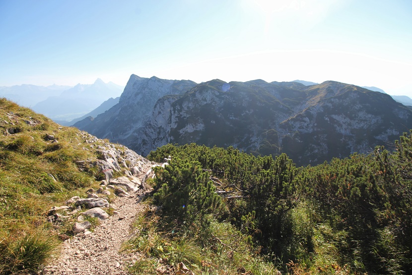 IMG_7436 (2).jpg