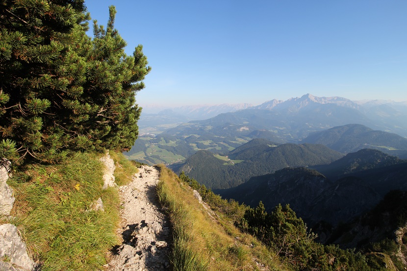 IMG_7516.jpg