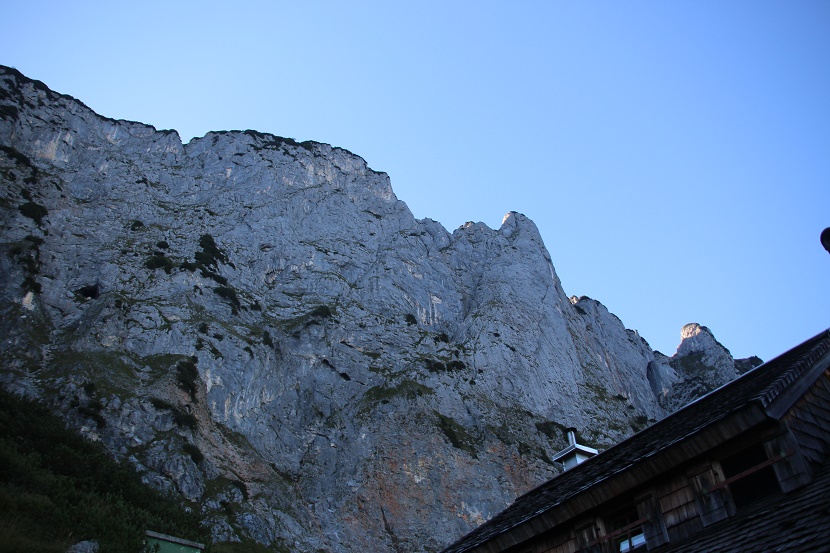 IMG_7541.jpg