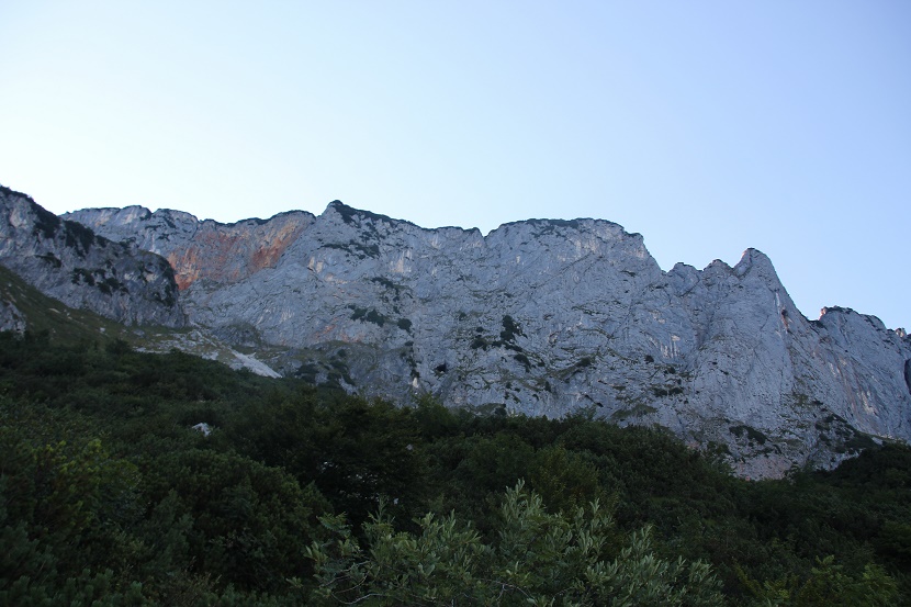 IMG_7555.jpg