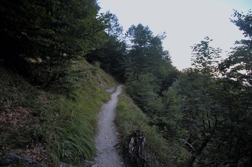 IMG_7566 (2).jpg