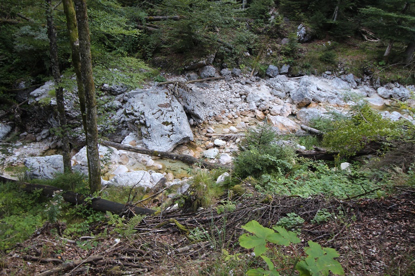IMG_7585.jpg
