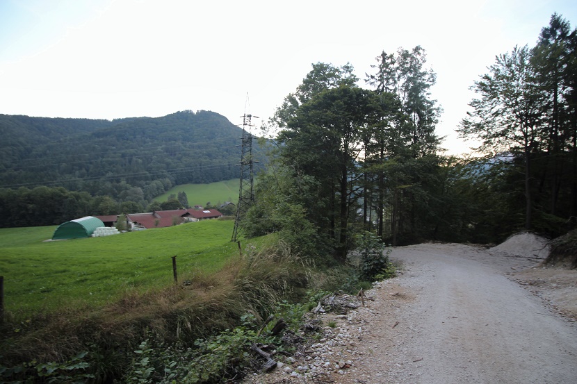IMG_7593 (2).jpg