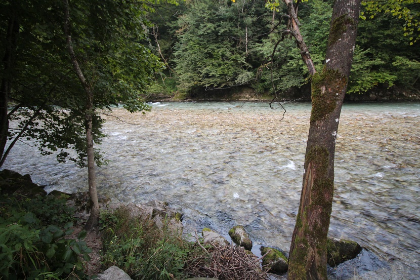 IMG_7600.jpg