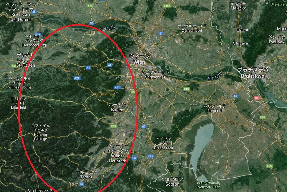 ウィーンの森を歩く 1 ヴァイオリンと心の旅と