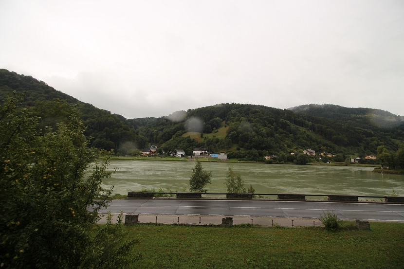 IMG_9316.jpg