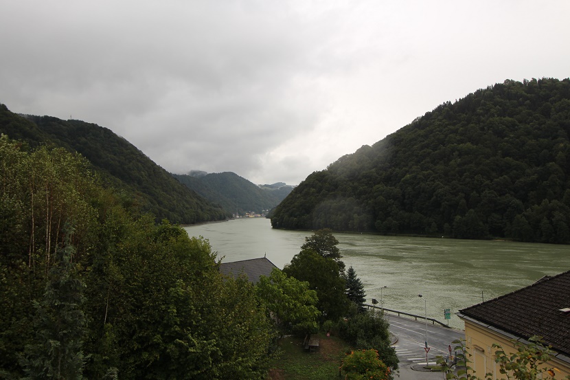 IMG_9337.jpg