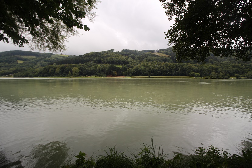 IMG_9417.jpg