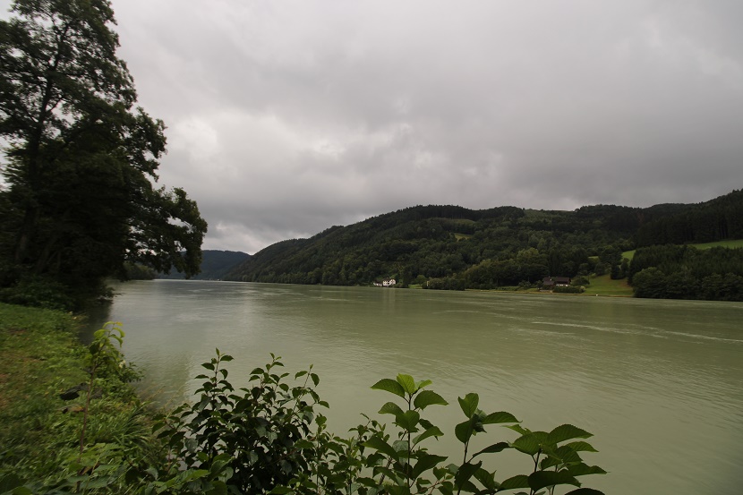 IMG_9426.jpg