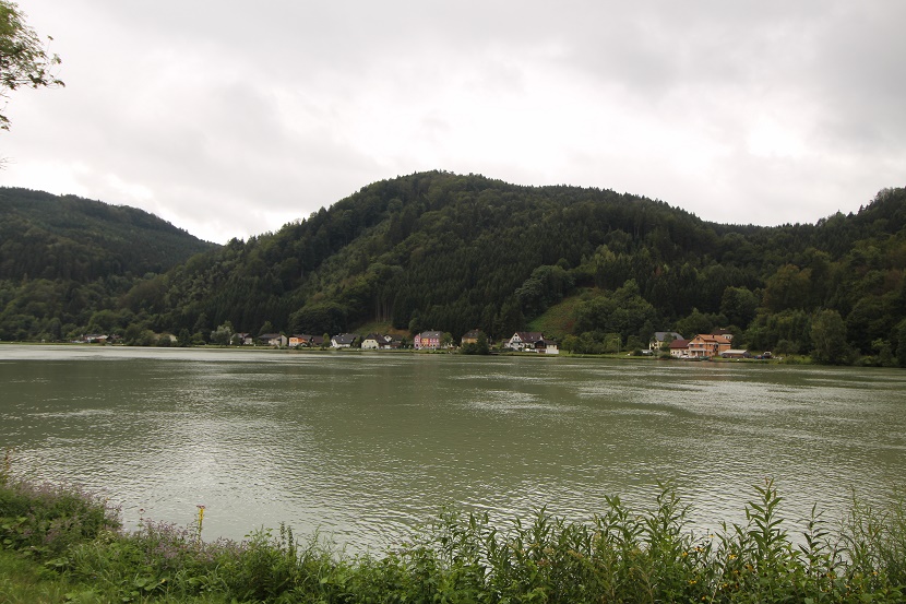 IMG_9435.jpg