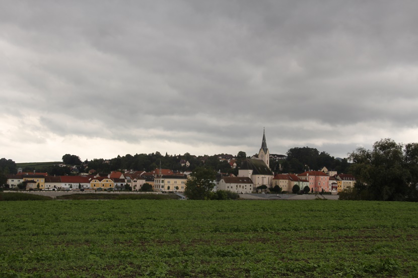 IMG_9590.jpg