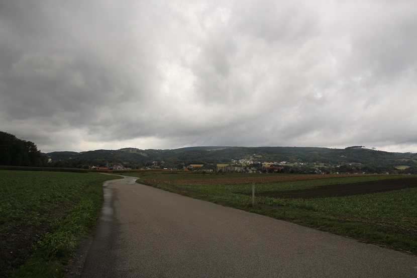 IMG_9593.jpg
