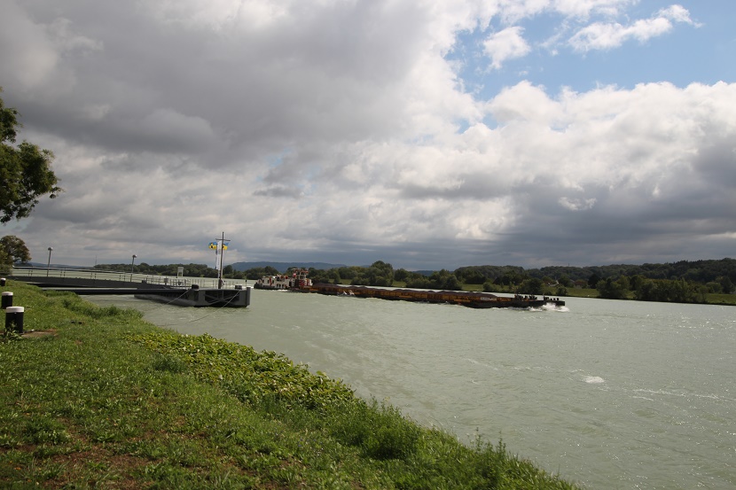 IMG_9634.jpg