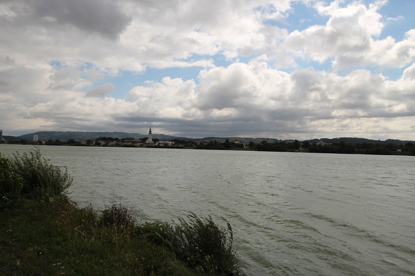 IMG_9654.jpg