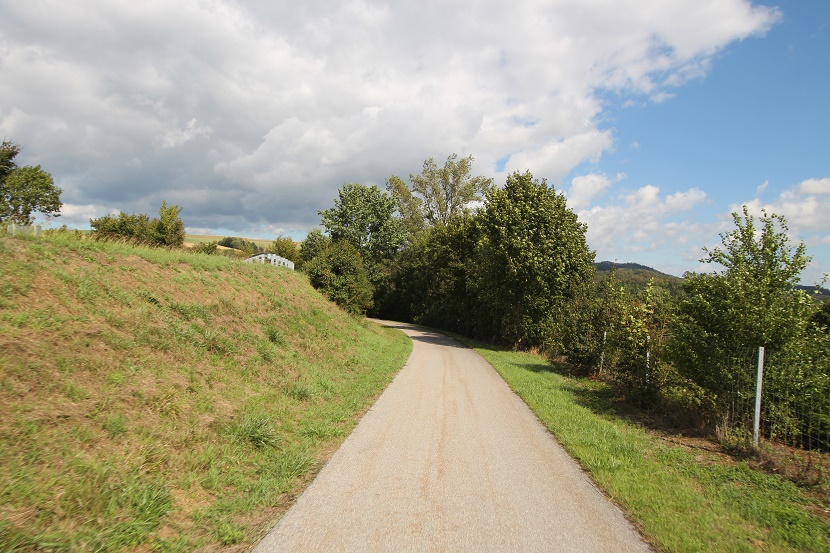 IMG_9745.jpg