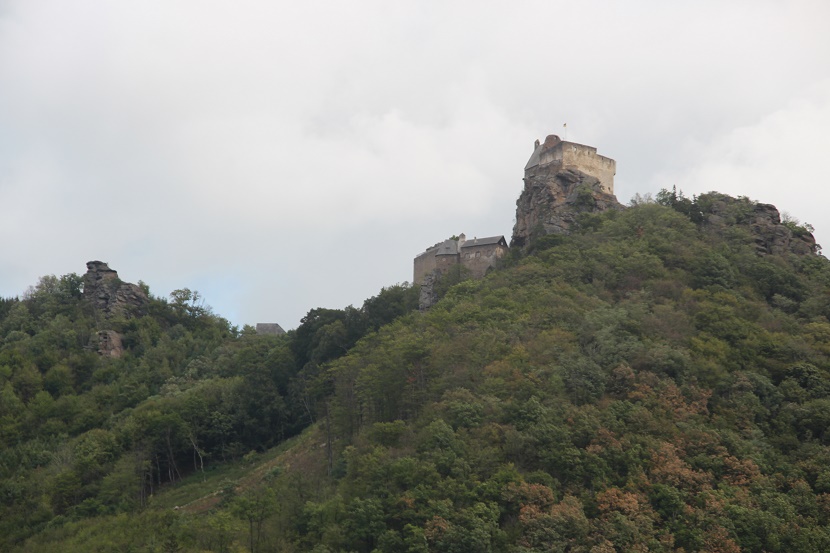 IMG_9804.jpg