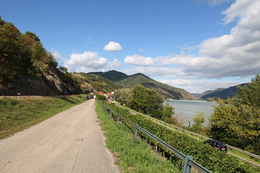 IMG_9889.jpg