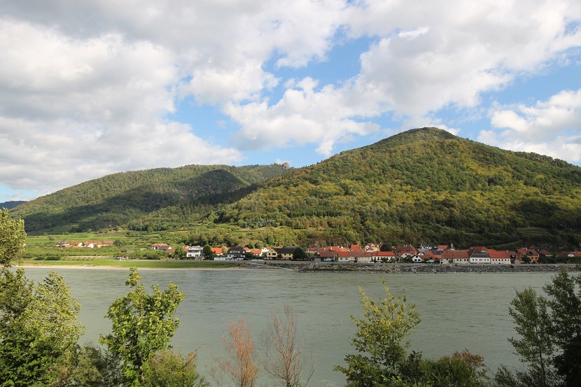 IMG_9893.jpg