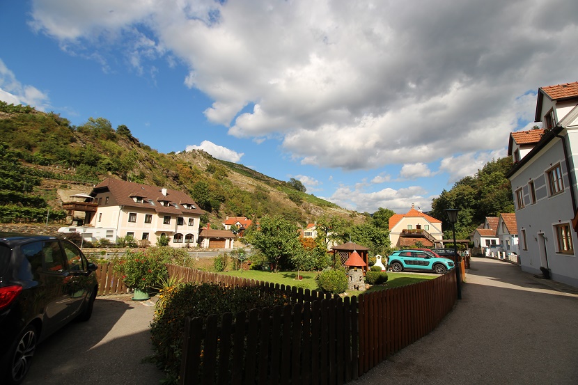 IMG_9895.jpg