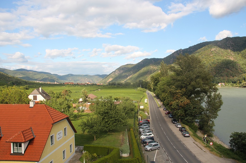 IMG_9994.jpg